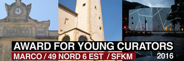Award for young curators 2016 MARCO/FR49 NORD 6 EST/SFKM